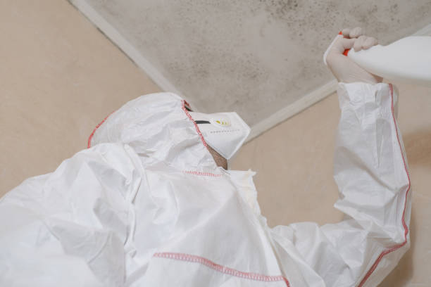 Alderton, WA Mold Removal Company