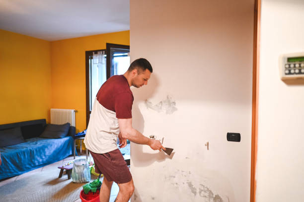 Mold Removal and Inspection in Alderton, WA